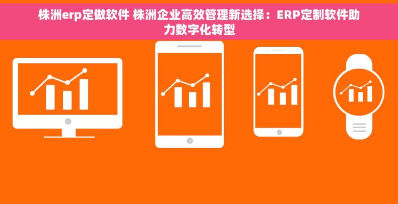 株洲erp定做软件 株洲企业高效管理新选择：ERP定制软件助力数字化转型
