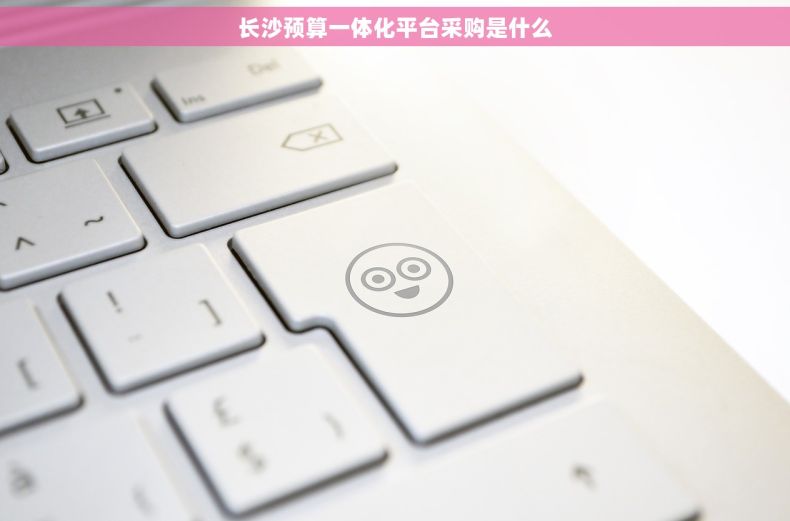 长沙预算一体化平台采购是什么