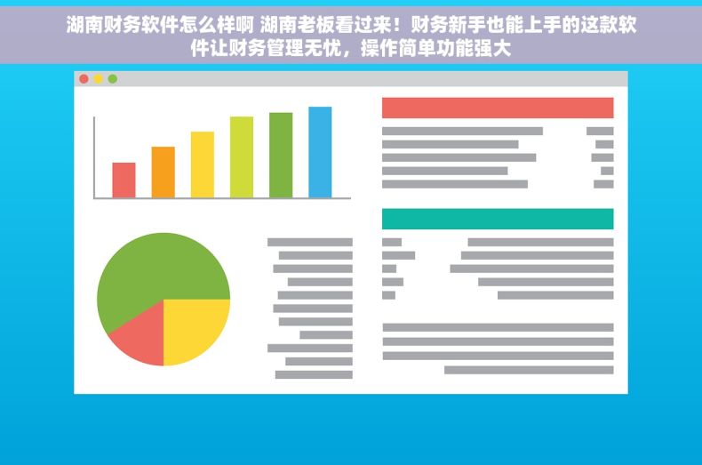 湖南财务软件怎么样啊 湖南老板看过来！财务新手也能上手的这款软件让财务管理无忧，操作简单功能强大
