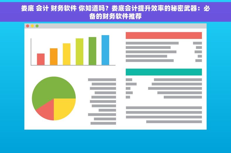 娄底 会计 财务软件 你知道吗？娄底会计提升效率的秘密武器：必备的财务软件推荐