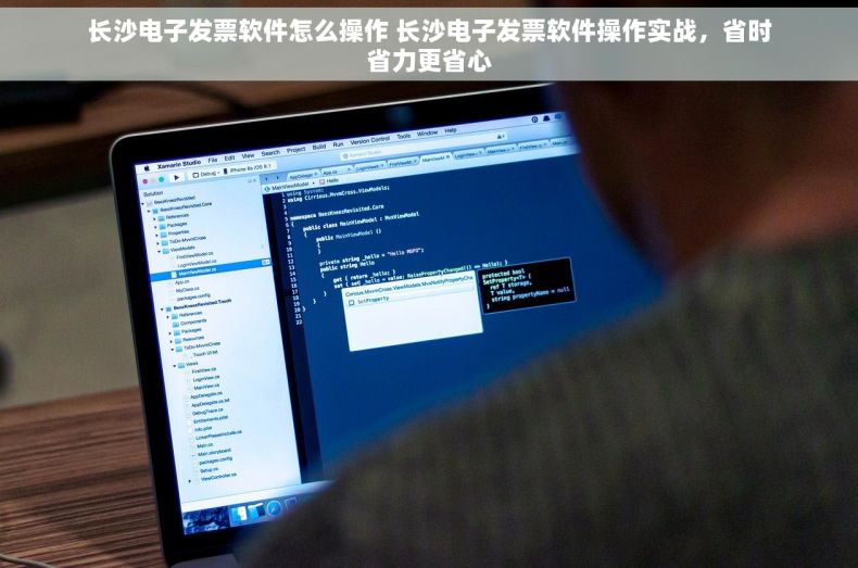 长沙电子发票软件怎么操作 长沙电子发票软件操作实战，省时省力更省心