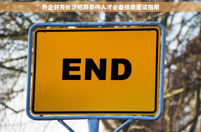外企财务长沙招聘条件人才必备技能面试指南