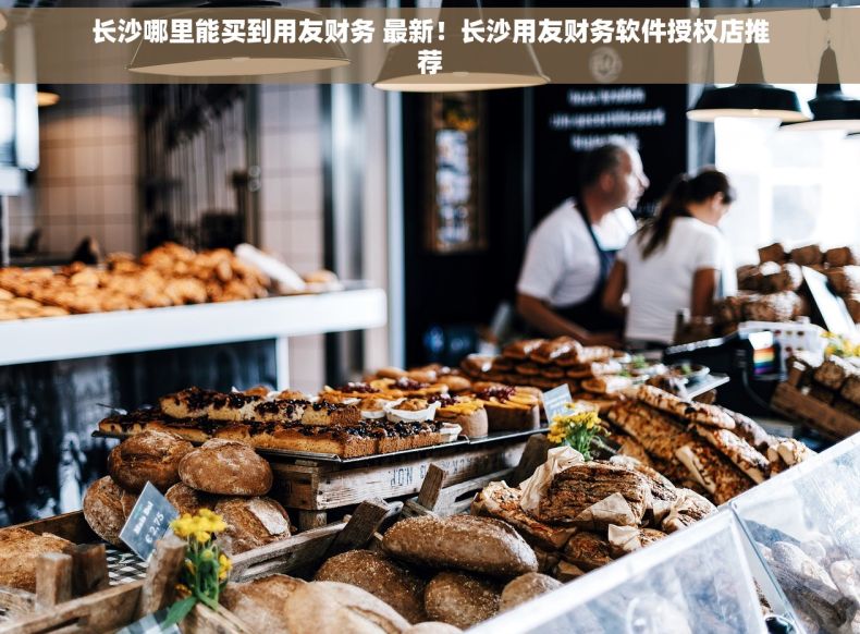 长沙哪里能买到用友财务 最新！长沙用友财务软件授权店推荐