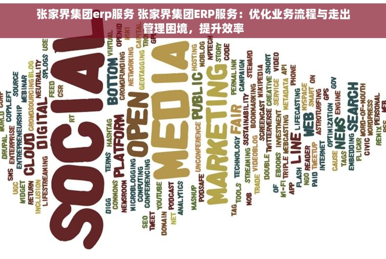 张家界集团erp服务 张家界集团ERP服务：优化业务流程与走出管理困境，提升效率