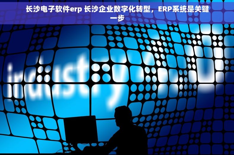 长沙电子软件erp 长沙企业数字化转型，ERP系统是关键一步