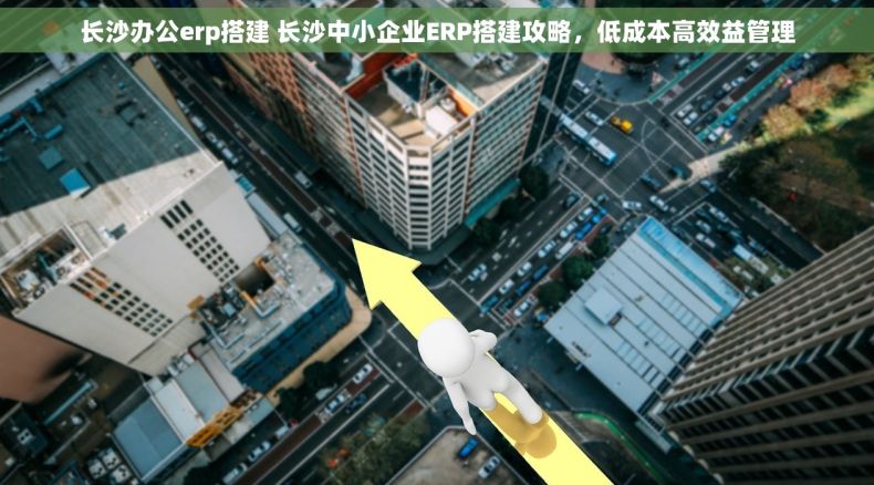 长沙办公erp搭建 长沙中小企业ERP搭建攻略，低成本高效益管理