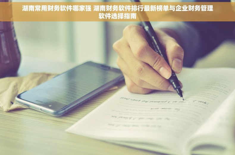 湖南常用财务软件哪家强 湖南财务软件排行最新榜单与企业财务管理软件选择指南