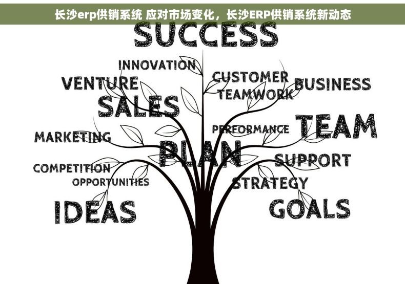 长沙erp供销系统 应对市场变化，长沙ERP供销系统新动态