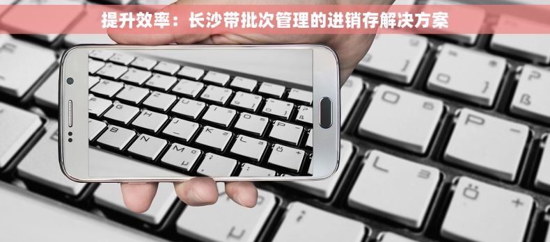 提升效率：长沙带批次管理的进销存解决方案