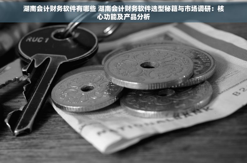 湖南会计财务软件有哪些 湖南会计财务软件选型秘籍与市场调研：核心功能及产品分析