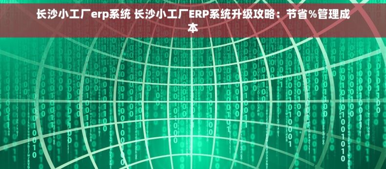 长沙小工厂erp系统 长沙小工厂ERP系统升级攻略：节省%管理成本