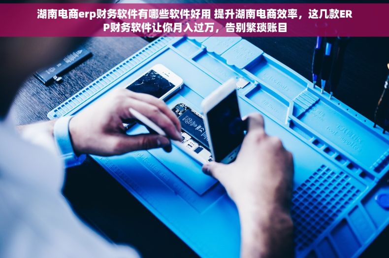 湖南电商erp财务软件有哪些软件好用 提升湖南电商效率，这几款ERP财务软件让你月入过万，告别繁琐账目