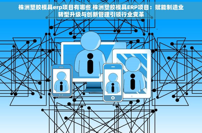 株洲塑胶模具erp项目有哪些 株洲塑胶模具ERP项目：赋能制造业转型升级与创新管理引领行业变革
