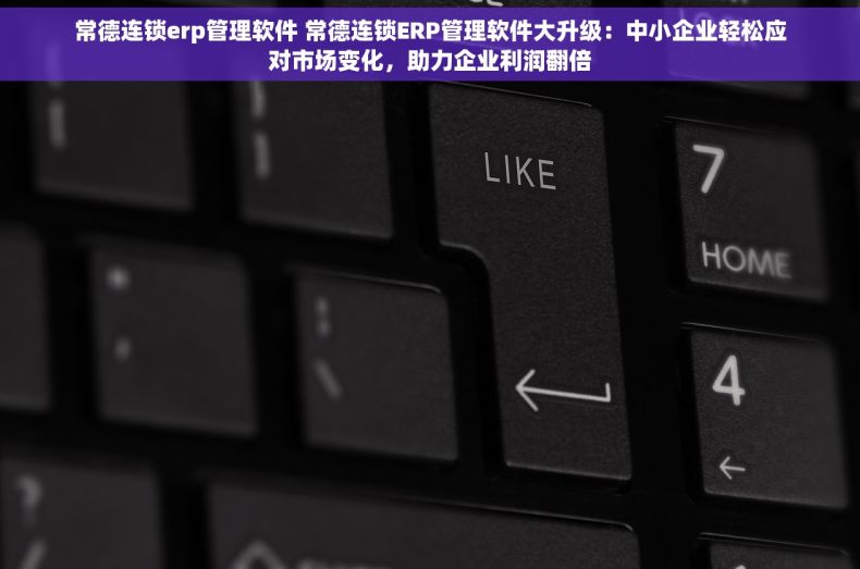 常德连锁erp管理软件 常德连锁ERP管理软件大升级：中小企业轻松应对市场变化，助力企业利润翻倍