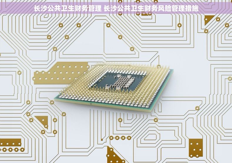 长沙公共卫生财务管理 长沙公共卫生财务风险管理措施