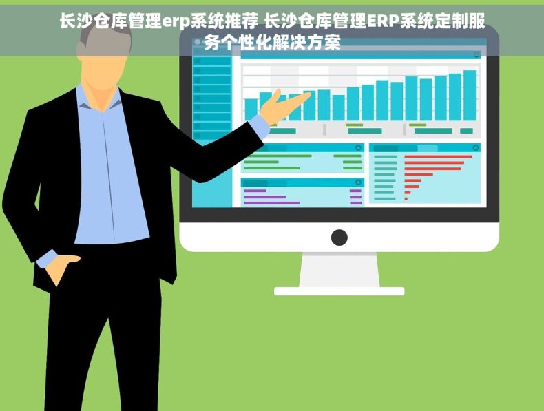长沙仓库管理erp系统推荐 长沙仓库管理ERP系统定制服务个性化解决方案
