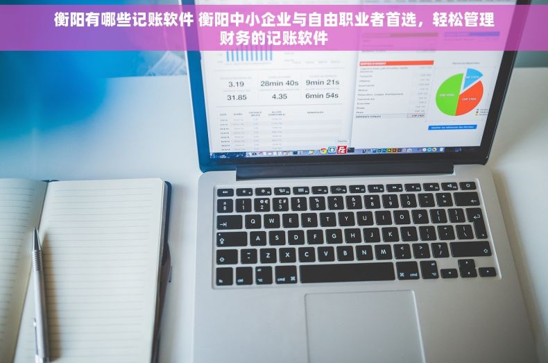 衡阳有哪些记账软件 衡阳中小企业与自由职业者首选，轻松管理财务的记账软件