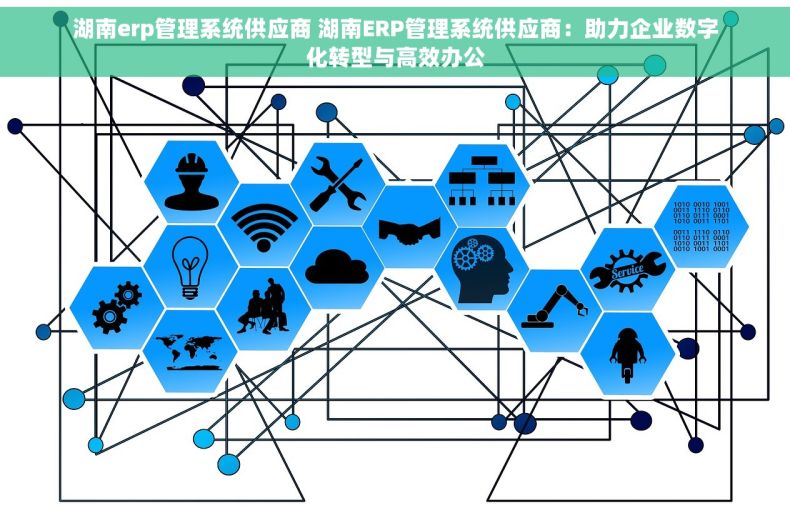 湖南erp管理系统供应商 湖南ERP管理系统供应商：助力企业数字化转型与高效办公