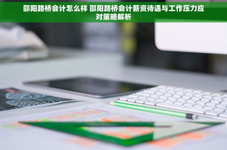 邵阳路桥会计怎么样 邵阳路桥会计薪资待遇与工作压力应对策略解析