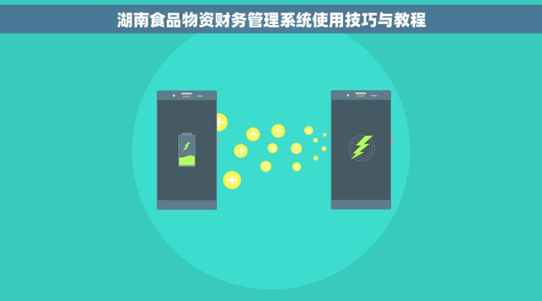湖南食品物资财务管理系统使用技巧与教程