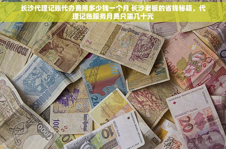 长沙代理记账代办费用多少钱一个月 长沙老板的省钱秘籍，代理记账服务月费只需几十元