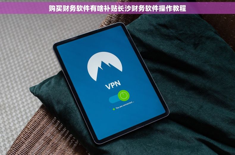 购买财务软件有啥补贴长沙财务软件操作教程