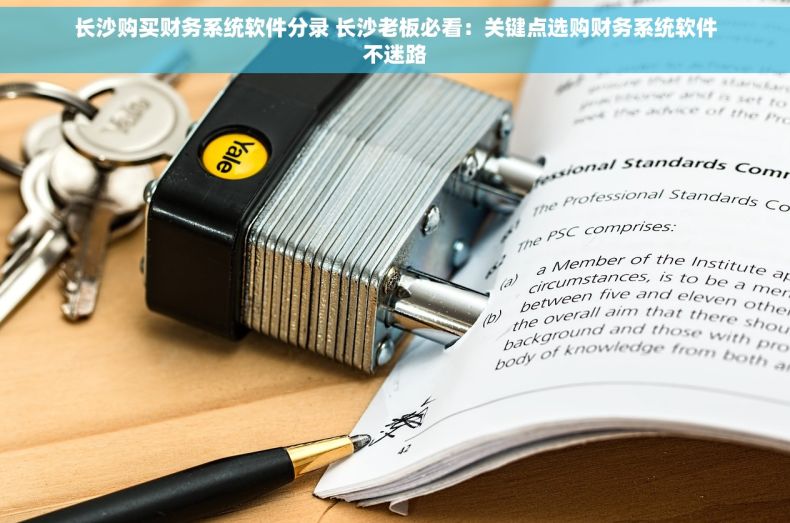 长沙购买财务系统软件分录 长沙老板必看：关键点选购财务系统软件不迷路