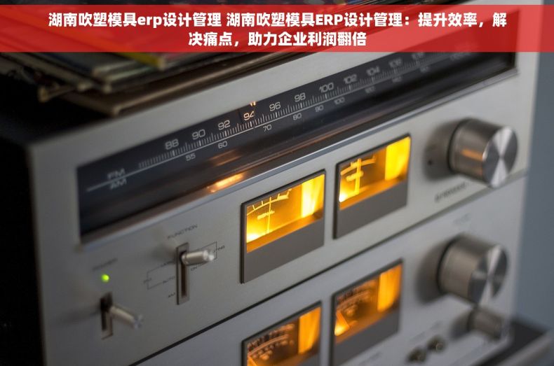 湖南吹塑模具erp设计管理 湖南吹塑模具ERP设计管理：提升效率，解决痛点，助力企业利润翻倍