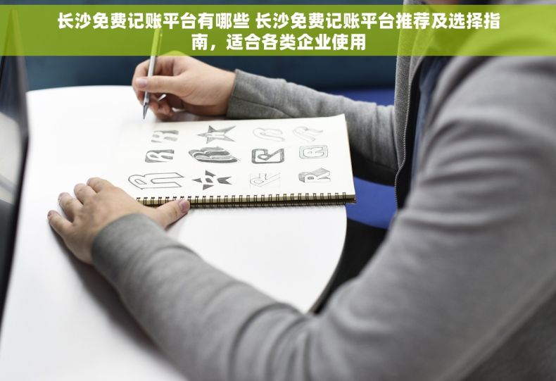 长沙免费记账平台有哪些 长沙免费记账平台推荐及选择指南，适合各类企业使用