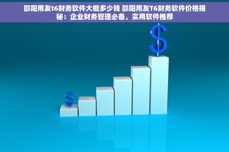 邵阳用友t6财务软件大概多少钱 邵阳用友T6财务软件价格揭秘：企业财务管理必备，实用软件推荐