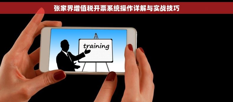 张家界增值税开票系统操作详解与实战技巧