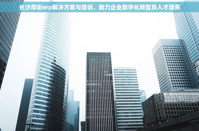 长沙厚街erp解决方案与培训，助力企业数字化转型及人才培养