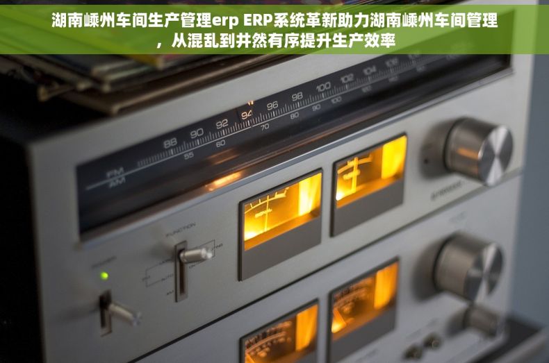 湖南嵊州车间生产管理erp ERP系统革新助力湖南嵊州车间管理，从混乱到井然有序提升生产效率