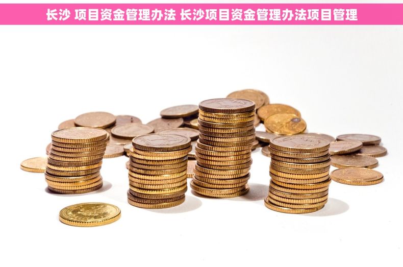 长沙 项目资金管理办法 长沙项目资金管理办法项目管理