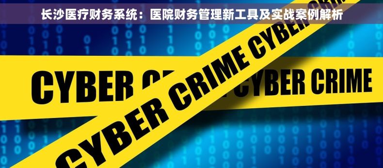 长沙医疗财务系统：医院财务管理新工具及实战案例解析