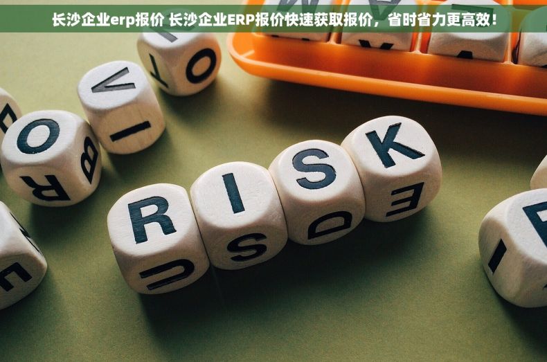 长沙企业erp报价 长沙企业ERP报价快速获取报价，省时省力更高效！