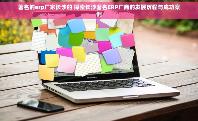 著名的erp厂家长沙的 探索长沙著名ERP厂商的发展历程与成功案例