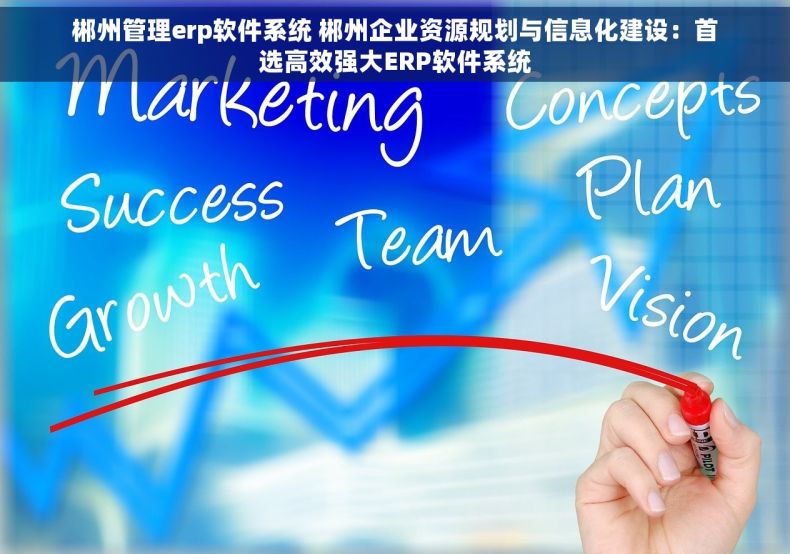 郴州管理erp软件系统 郴州企业资源规划与信息化建设：首选高效强大ERP软件系统