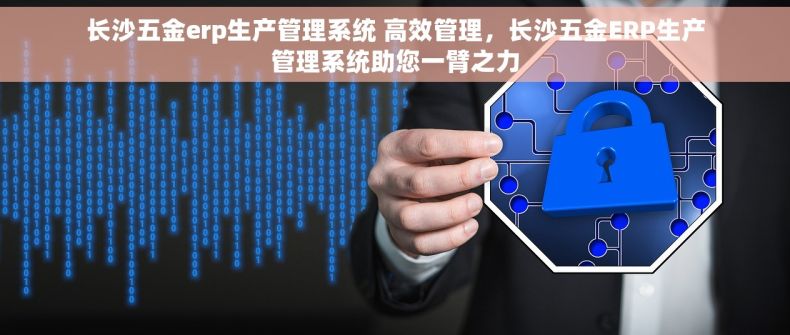 长沙五金erp生产管理系统 高效管理，长沙五金ERP生产管理系统助您一臂之力