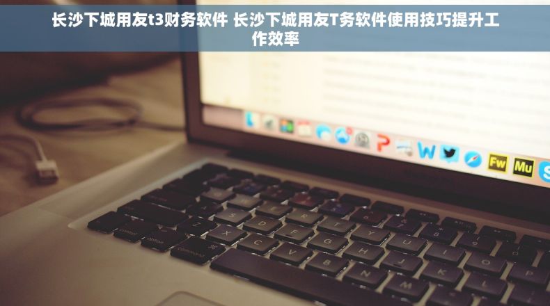 长沙下城用友t3财务软件 长沙下城用友T务软件使用技巧提升工作效率