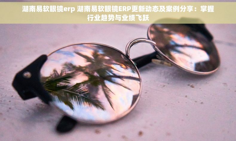 湖南易软眼镜erp 湖南易软眼镜ERP更新动态及案例分享：掌握行业趋势与业绩飞跃