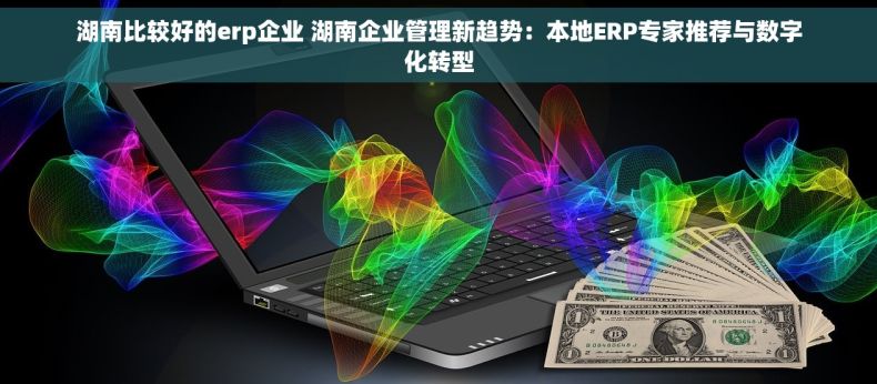 湖南比较好的erp企业 湖南企业管理新趋势：本地ERP专家推荐与数字化转型
