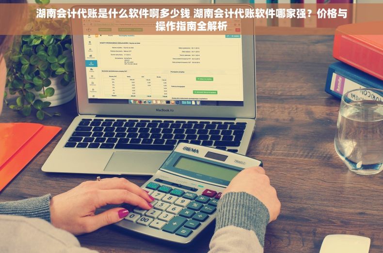 湖南会计代账是什么软件啊多少钱 湖南会计代账软件哪家强？价格与操作指南全解析