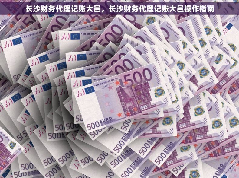 长沙财务代理记账大邑，长沙财务代理记账大邑操作指南