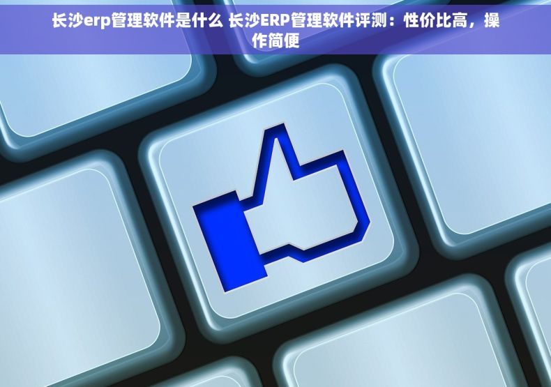 长沙erp管理软件是什么 长沙ERP管理软件评测：性价比高，操作简便