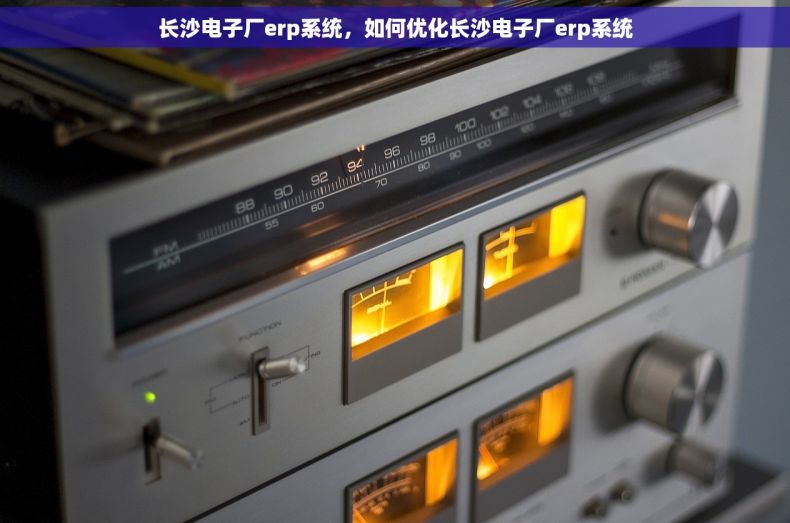 长沙电子厂erp系统，如何优化长沙电子厂erp系统