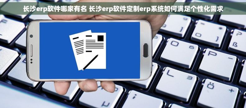 长沙erp软件哪家有名 长沙erp软件定制erp系统如何满足个性化需求