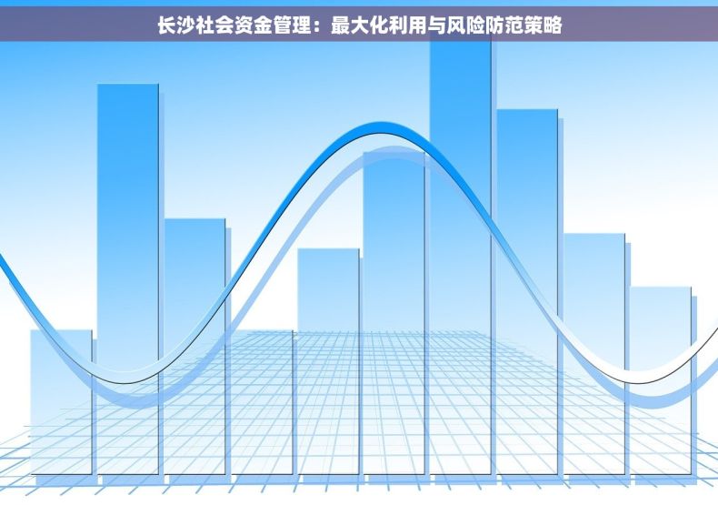 长沙社会资金管理：最大化利用与风险防范策略
