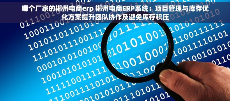 哪个厂家的郴州电商erp 郴州电商ERP系统：项目管理与库存优化方案提升团队协作及避免库存积压