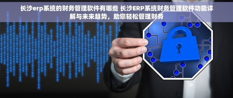 长沙erp系统的财务管理软件有哪些 长沙ERP系统财务管理软件功能详解与未来趋势，助您轻松管理财务